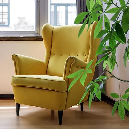 Travel & Live Aliados