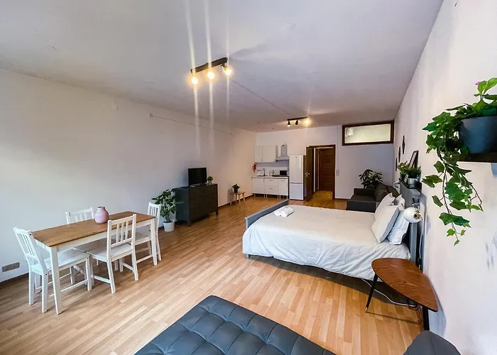 Travel & Live Aliados *