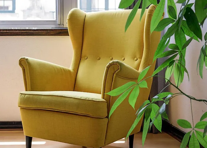 Travel & Live Aliados